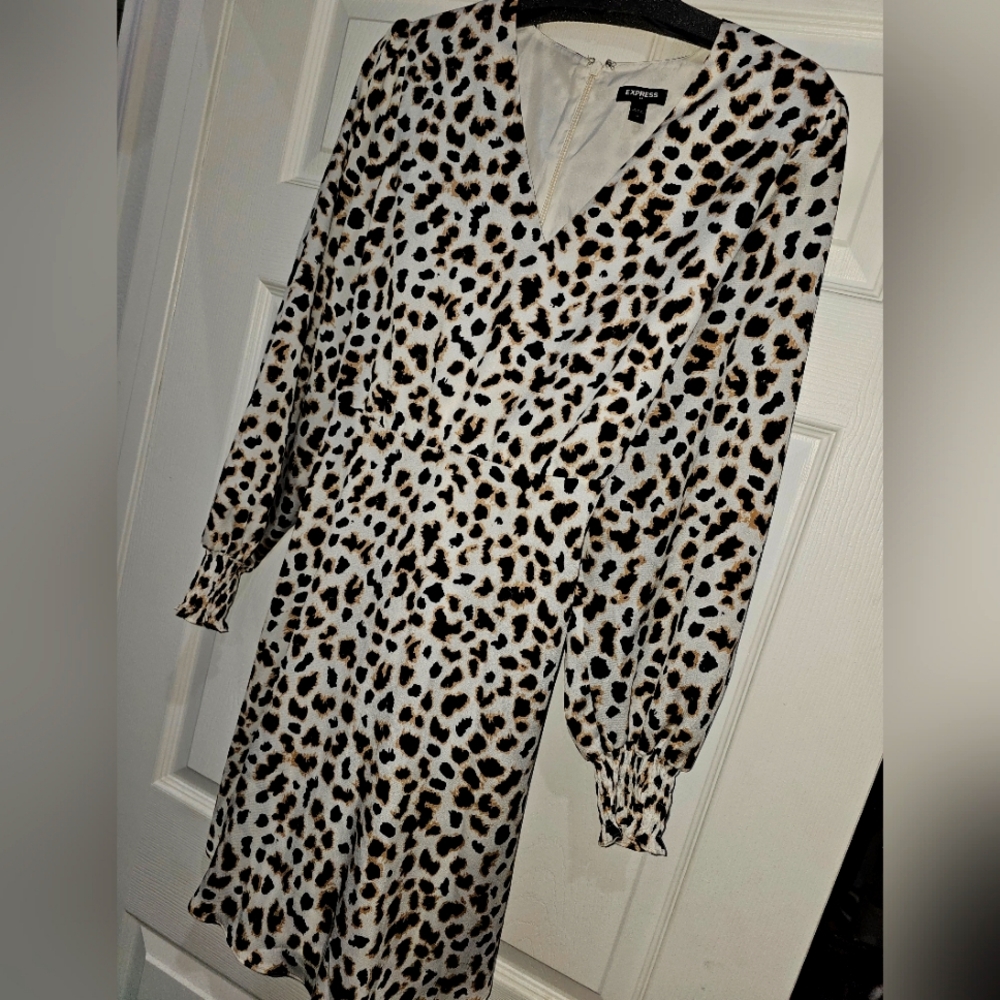EXPRESS Leopard Print Dress Size M